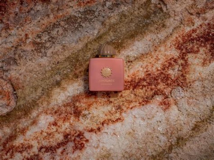 A Deep Dive Into His Memorial