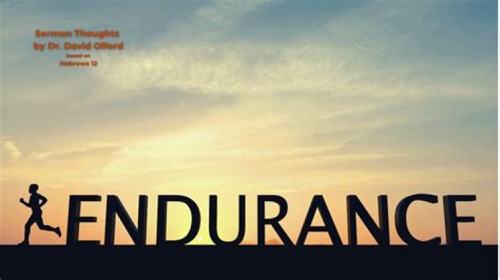 A Journey Of Endurance And Connection