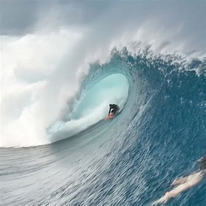 A Treasure Trove Of Dance, Inspiration, And Philanthropy