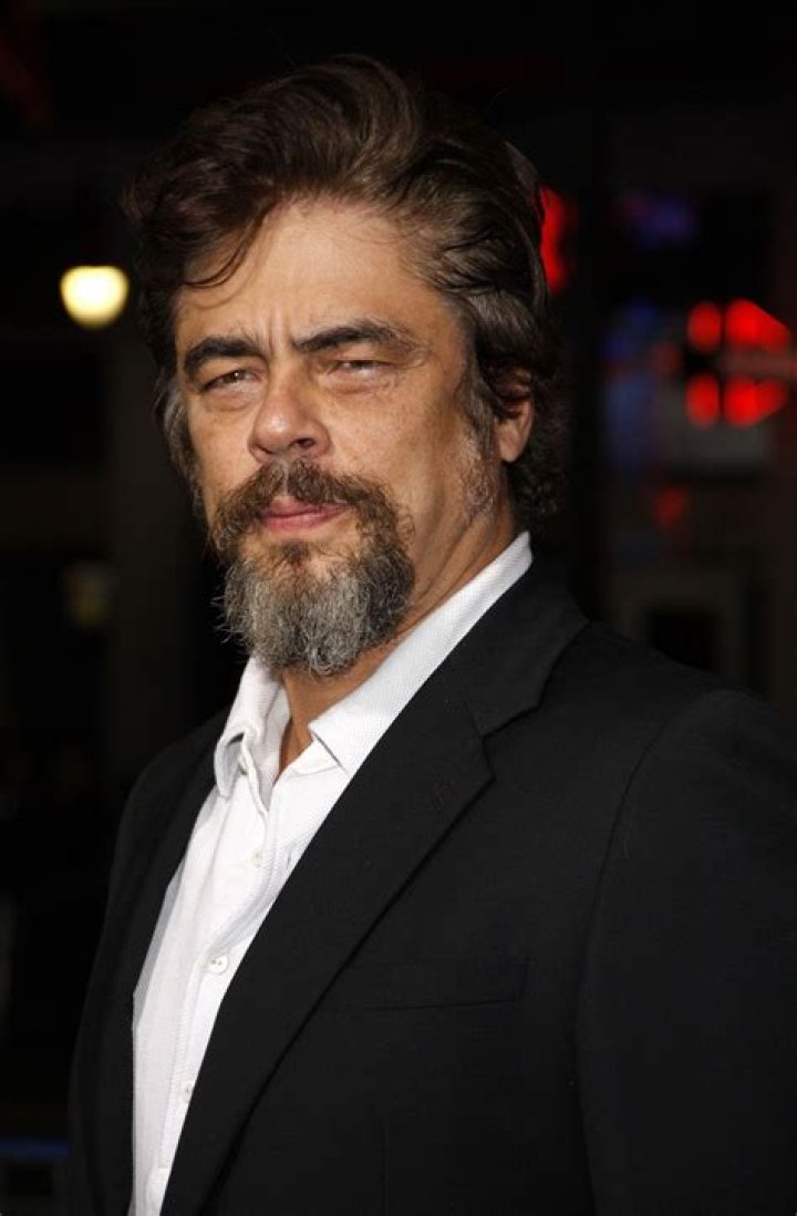 Are Benicio del Toro and Guillermo related? ·