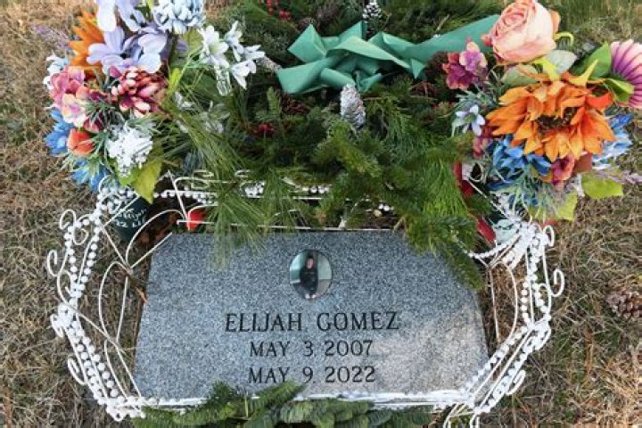 BlogPaper | Elijah Gomez - Age, Family, Bio