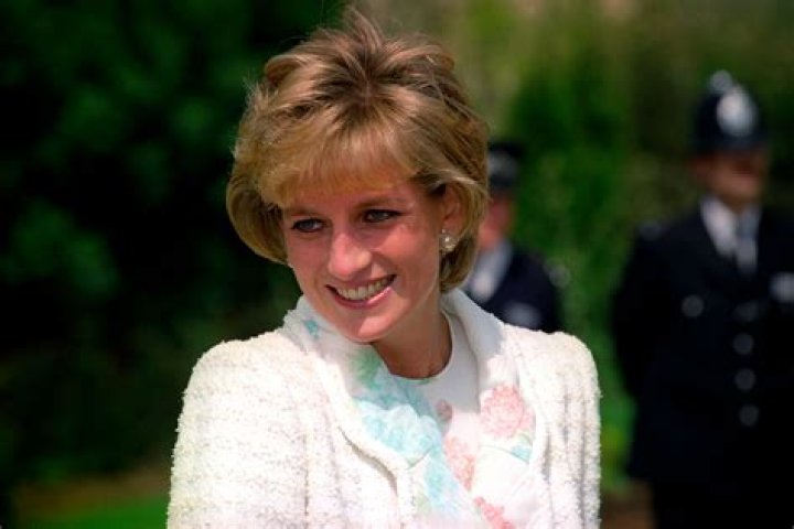 Bodyguard Trevor Rees details missing four minutes before Princess Diana crash in Paris ·