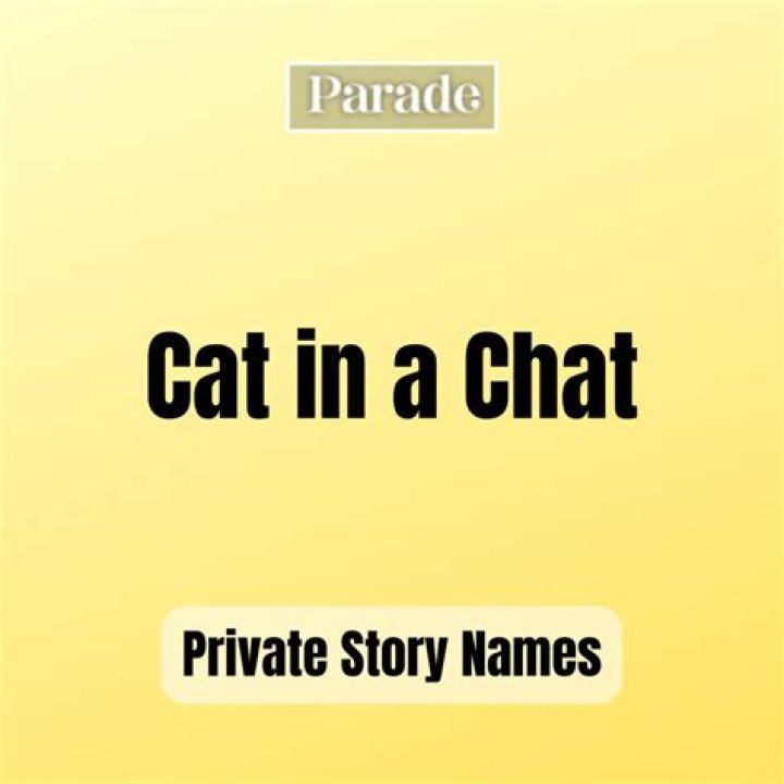 Delve Into The Darkly Humorous World Of Snapchat Private Story Names