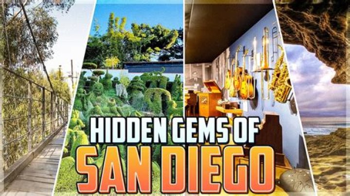 Discover Hidden Gems And Insights