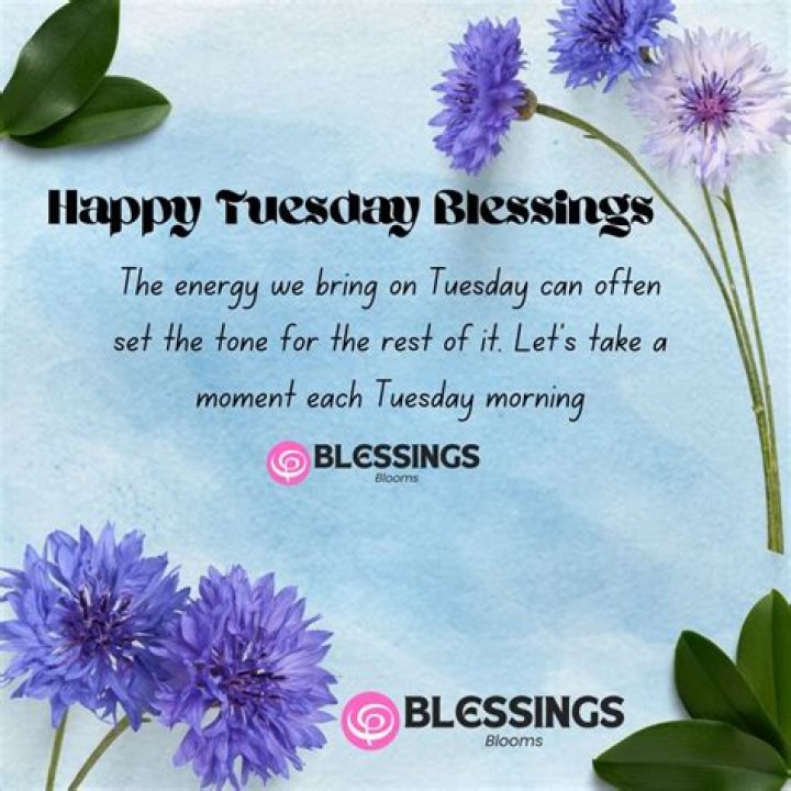Discover The Power Of Quotes For Tuesday Blessings