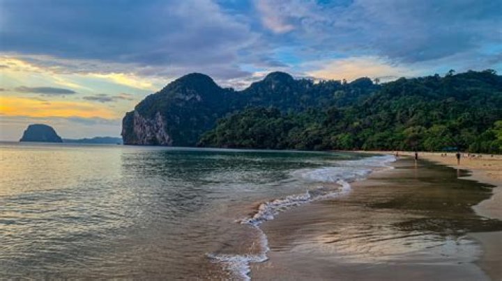 Discover The Truth Behind "Where Is Charlie Tan's Mother?"