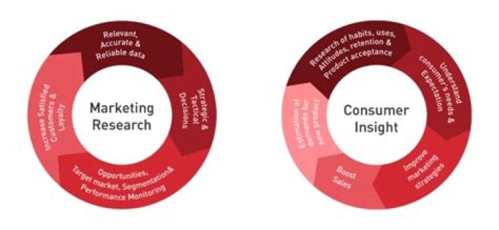 Discoveries And Insights For Enhanced Growth