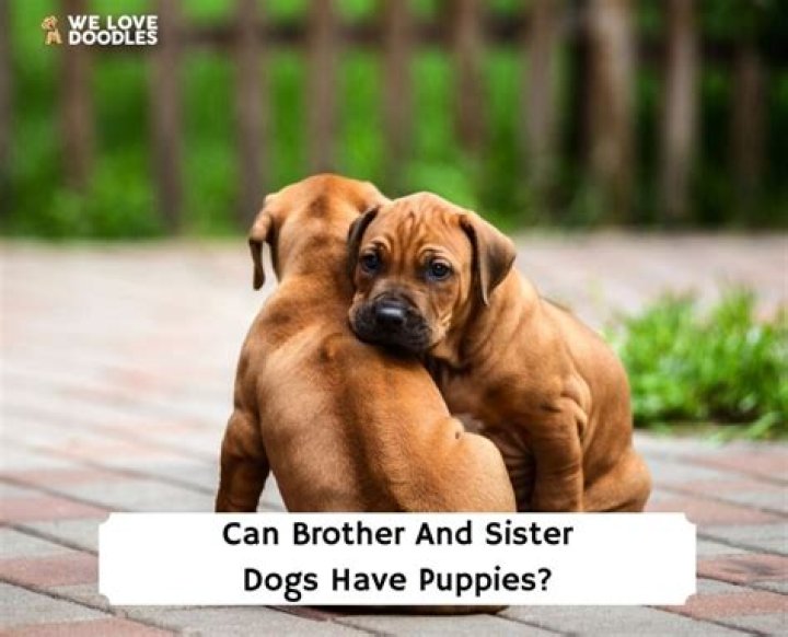 Does She Have A Brother And Sister? ·