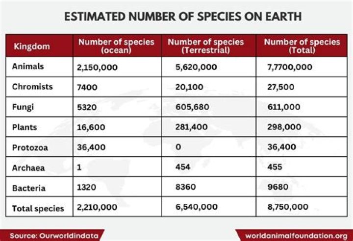 How many animals are in the world?