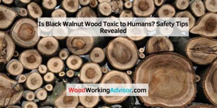Is black walnut toxic to humans? ·