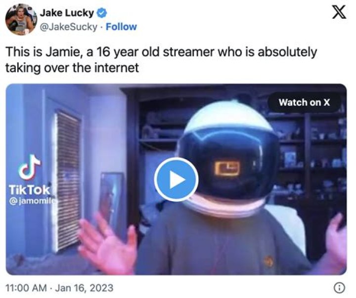 The TikTok Star Who Is Taking Over the Internet ·