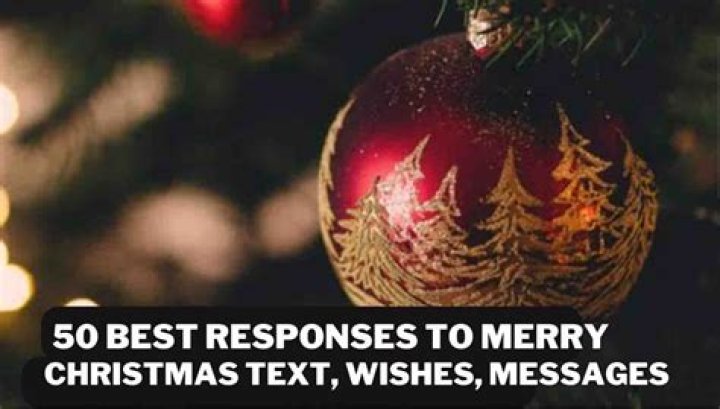Uncover The Art Of Crafting Irresistible Merry Christmas Text Responses
