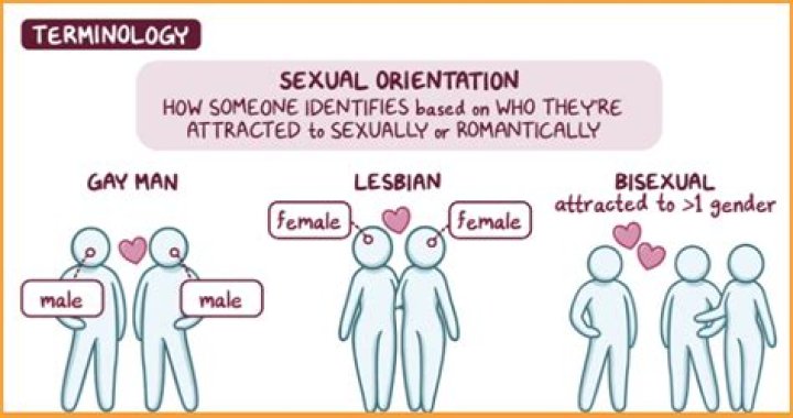 Uncovering Noah Sebastian's Sexual Orientation