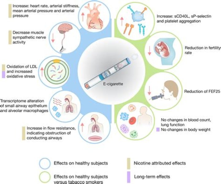 Uncovering The Significance And Implications