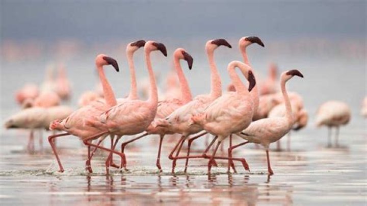 Unlocking Nakuru With ZIP Codes