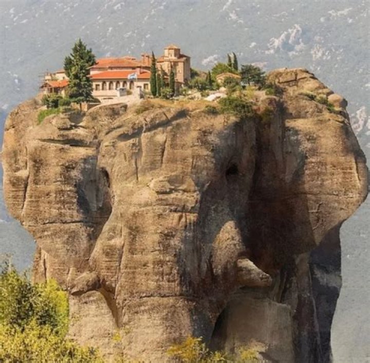 Unveil The Enchanting World Of Black Outfits Family Photos