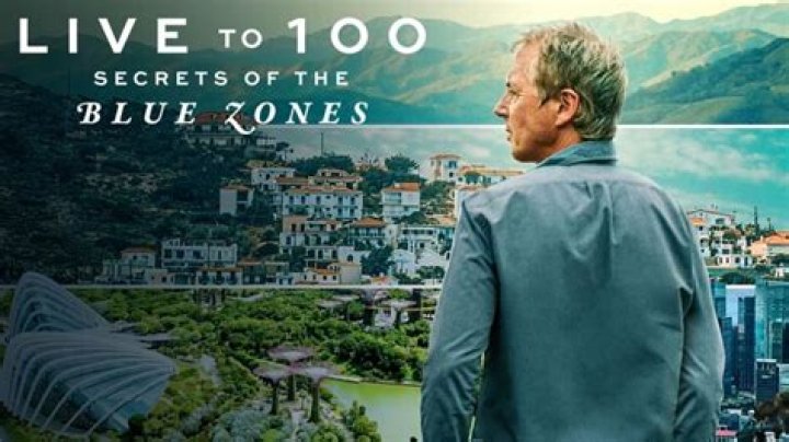 Unveil The Secrets Of Loyalty, Trust, And Gangster Culture