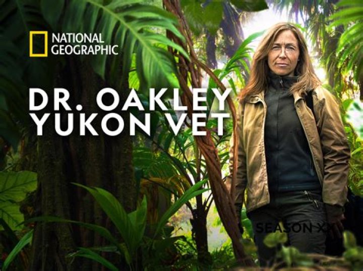Unveiling Dr. Oakley's Yukon Vet Net Worth: Surprising Discoveries And Insights