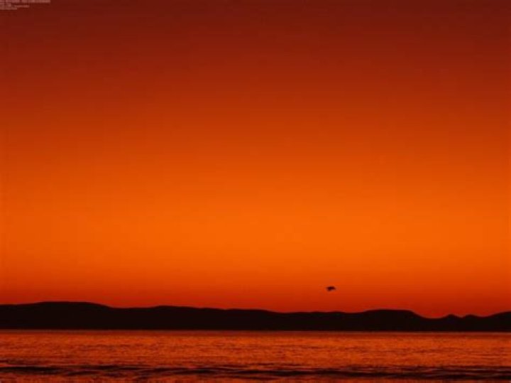 Unveiling The Age Of Famous Debo: A Journey Of Discovery