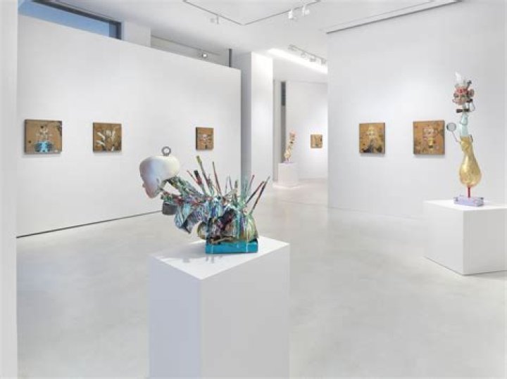 Unveiling The Brilliance Of Setareh Saeedi: Insights And Discoveries