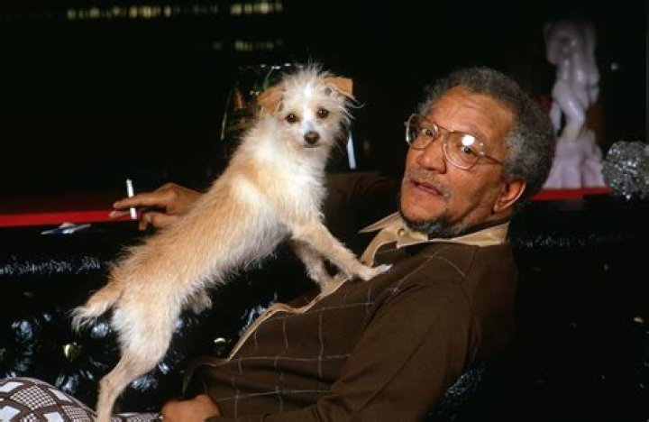 Unveiling The Complex Tapestry Of Redd Foxx's Tumultuous Relationships