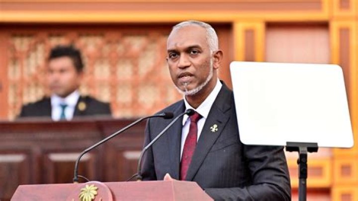 Unveiling The Complexities Of Veterinary Euthanasia In "Dr. Pol"