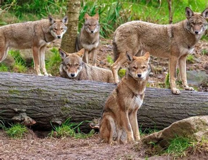 Unveiling The Fascinating World Of Can Yaman News: Discoveries And Insights