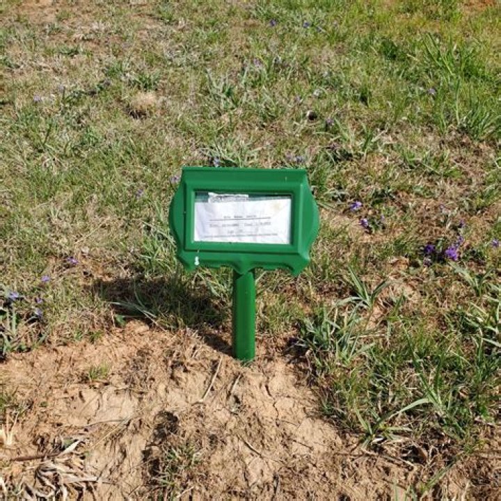 Unveiling The Genius Of Eric, Rohan, And Justin: Discoveries And Insights