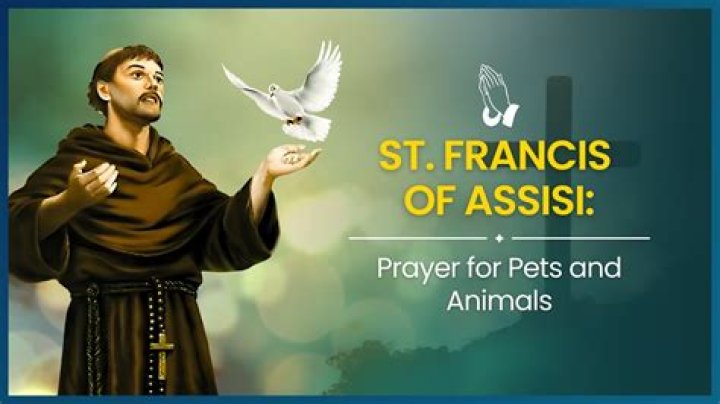 Unveiling The Power Of Prayer To St. Francis For Pets: Discoveries And Insights