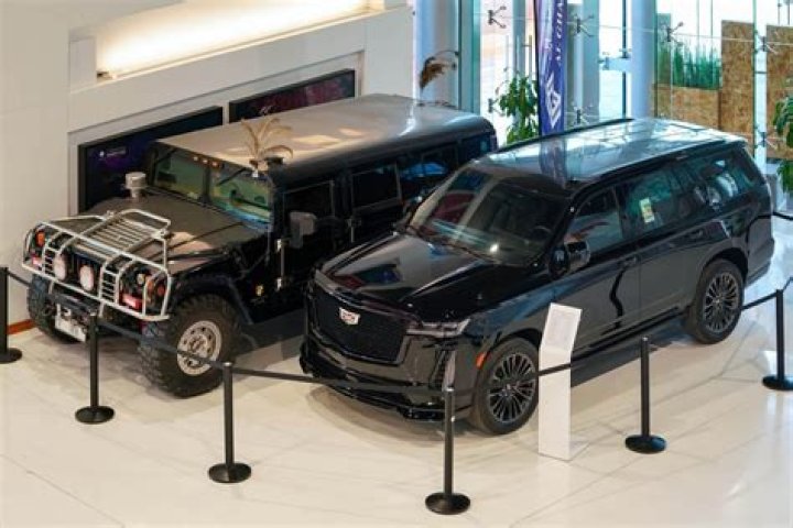 Unveiling The Transformative Journey Of Arshia USC Armaan