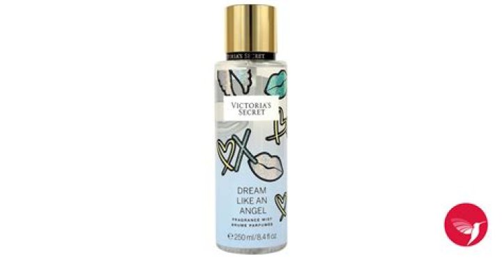 Victoria's Secret Karen Lawsuit Saga