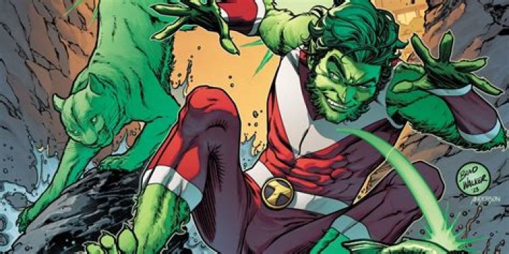What race is Beast Boy? ·