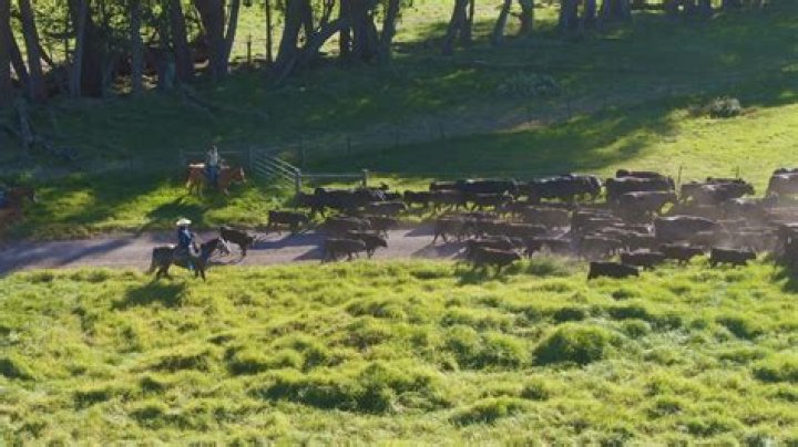 Why is Parker Ranch closed? ·